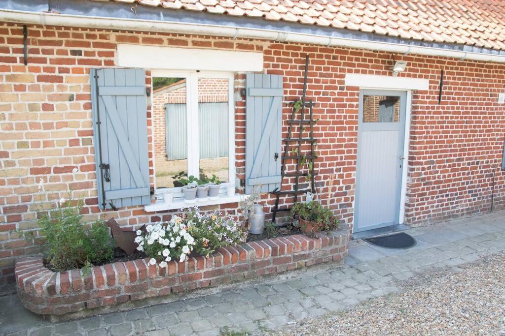 Cottage Chaleureux Au Coeur Des Monts De Flandres Saint-Jans-Cappel Exterior foto